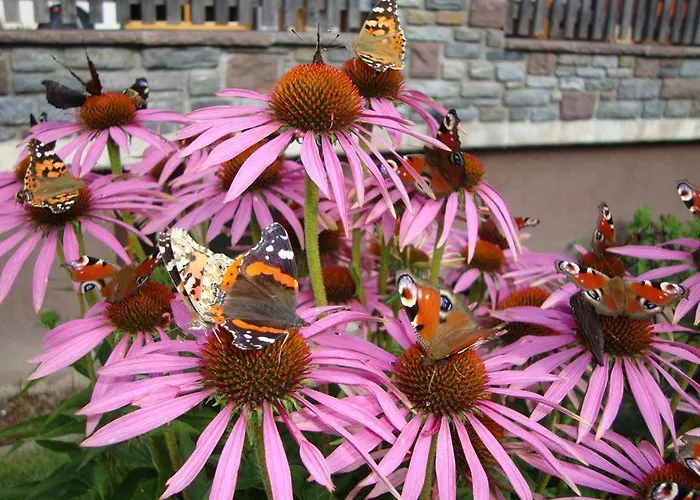 Gaestehaus Auer Apartmán Holzgau