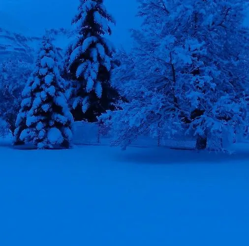 Gaestehaus Auer 公寓